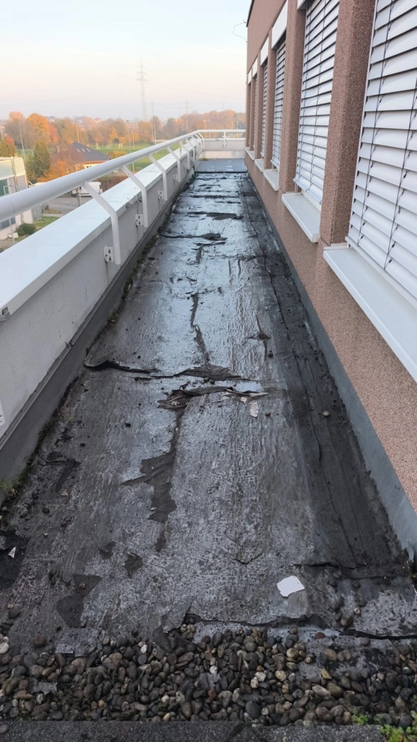 R.S Sicco UG – Wasser- & Brandschadensanierung, Reinigung und Gebäudedienste - Besselstraße 26 Mannheim Balkonsanierung